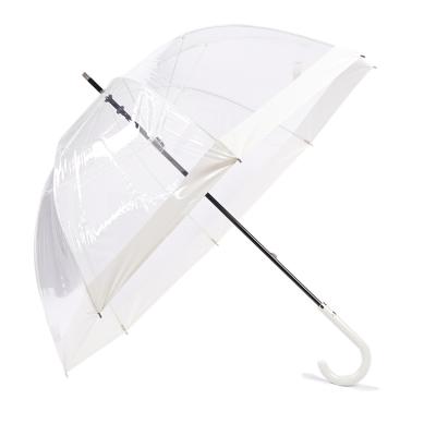 China New Arrival Wholesale White Color Long White Color PVC Clear Transparent Umbrella for sale