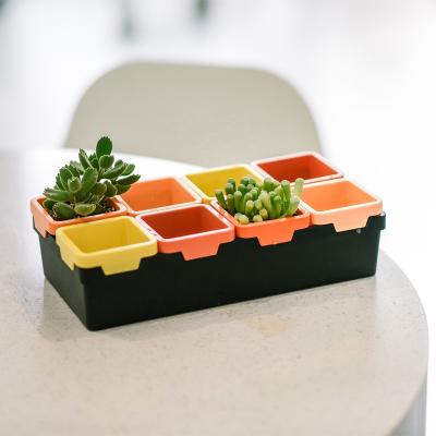 China Trays and pots come with a quare sink succulent 3 inch mini planter desks flower pot combination desk plastic garden for sale