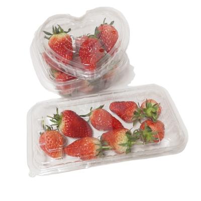 China 100% Food Grade Materials Food Grade Containers With Lid Plasti Container For Fruit Nuts for sale