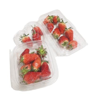 China 100% Food Grade Materials PET Clear Plastic Salad Box for sale