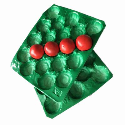 China Selling Stackable Green Fruit Plastic Trays PP Disposable Fruit Show Tray Liner for sale