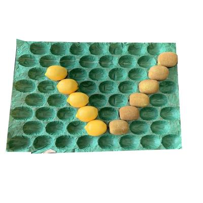 China China Manufacturer Biodegradable Paper Biodegradable Fig Insert Tray Size 40X30cm for sale