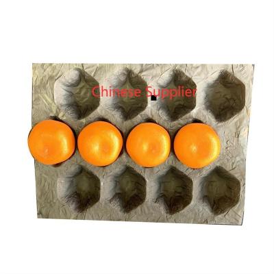 China 30*40cm Fresh Fruit Tomato Mango Persimmon Fig Wrapping Paper Biodegradable Biodegradable Tray Liner Cavity for sale