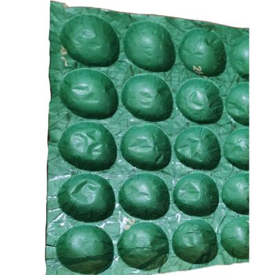 China Anti-Curl Different Template Fruit Tray Liner For Tomato/Kiwi/Plum/Mango/Apple/Peach/Avocado for sale