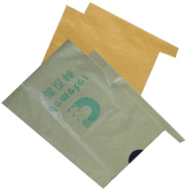 China Disposable Eco Friendly Waterproof Fruit Bag Grown Bag Mango Fruit Protection Bags for sale