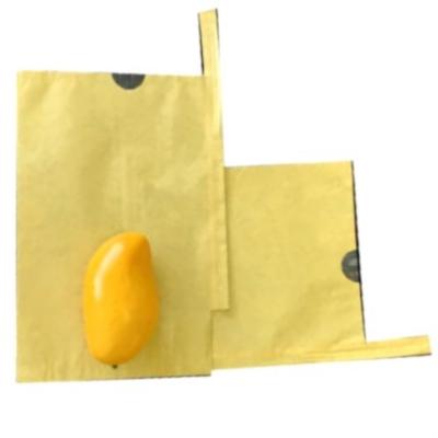 China Eco Disposable Paper Bag For Fresh Fruit Cacbon Fruit Bag Mango Fruit Anti UV Protection Coated Paper Bag for sale