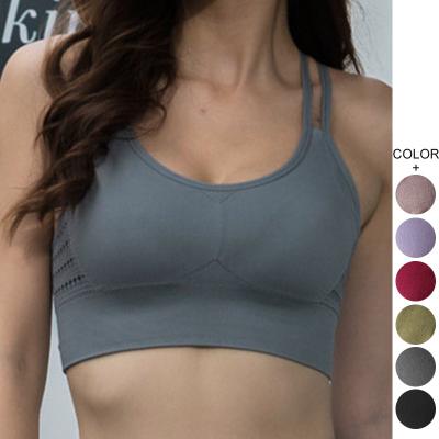 China Mesh Stitching Sports Yoga Bra Women Group Fitness Bra Vest Style Top Breathable Mesh Breathable Sports Bra for sale