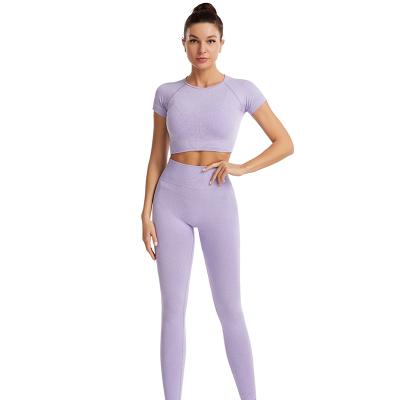 China 2 Piece Breathable Purple Stretchy High Waist Yoga Set Active Wear Yoga Clothes Set for sale