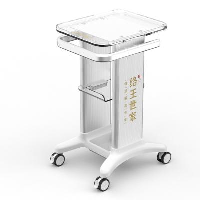 China 2022 Modern Spa Trolley Trolley For Beauty Equipment Display Beauty Salon Trolley for sale