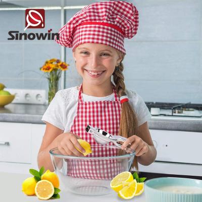 China Professional Stainless Steel Lemon Squeezer Citrus Squeezer Professional Manual Fruit Squeezer for sale