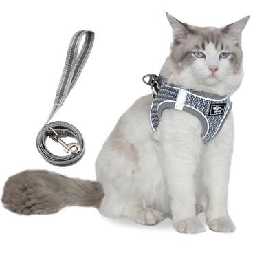 China Reflective Breathable Mesh Harness For Kitten Dog Harness And Puppy Summer Pet Harness And Leash for sale