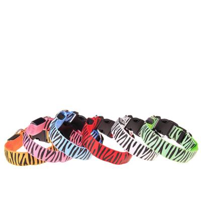 China Sustainable Zebra Stripe Collar For Greyhounds Light Up LED Flashing Dog Collar for sale