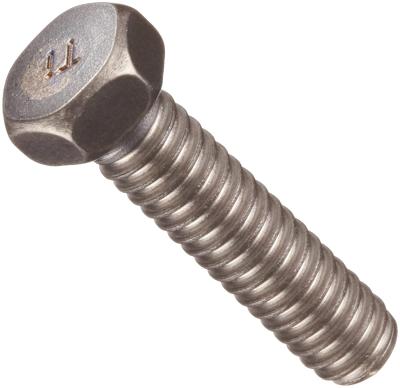 China TITANIC Titanium HEX HEAD SCREW Titanium Hex Socket Head Bolt for sale