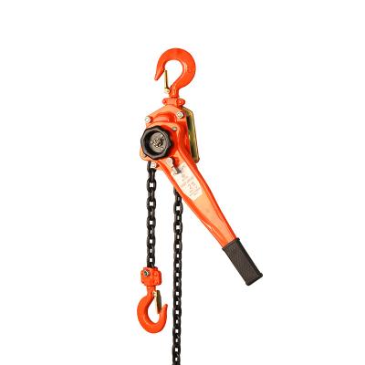 China Hot Selling Crane 1000kg Manual Lever 1ton Hotels Crane Hoist For Factory for sale