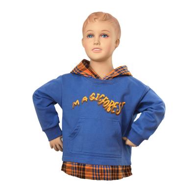 China Fashion Anti-shrink Crop OEM MOQ 500 Pcs Cotton Top Hoodie For Boys for sale