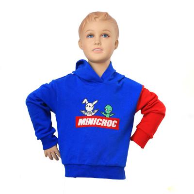 China MOQ 500PCS OEM Brand Logo Anti-Shrink 100% Cotton Pullover Hoodie For Boys for sale