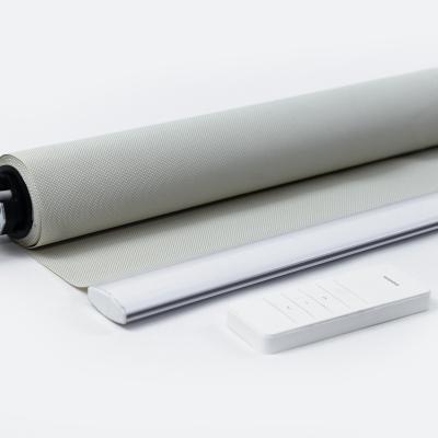 China Contemporary Hot Sale Window And Door Shade Factory Supply Blackout Fabric Roller Blinds Wifi Control Electric Roller Blinds for sale