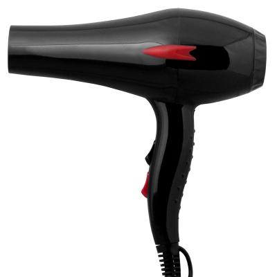 China Other Wholesale High Quality High Speed Strong Wind Professional Salon Hair Blower Hair Styler Dryer for sale