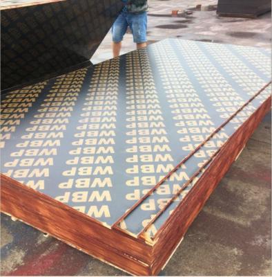 China Modern Marine Plywood Film Faced Plywood Combond Combi Hardwood Poplar Core 6mm 12mm 22mm Solid For Building Materials Concrete Form for sale