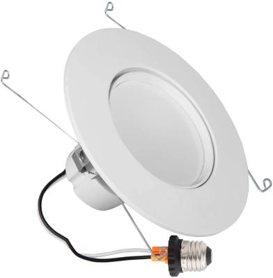 China High Performance Modern Easy Installation Retrofit Recessed DOB Downlight for sale