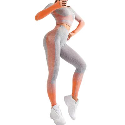 China Antibacterial Gorgeous Full Body Crop Sports Suit High Waist Shape Fitness Tracksuit For Women for sale