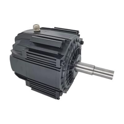 China Unique Hot Sale High Efficiency Permanent Magnet BOAT Design Brushless DC Motor for sale