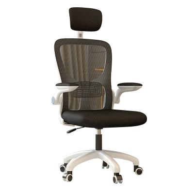 China Home Office Modern Wheel Computer Office Lift Chair Swivel Ergonomic Adjustable Rotating Computer Chair Student Computer Chair for sale