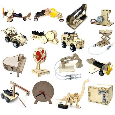 China Wooden Wooden Puzzles 3d Physics Toys Stem Toys For Kids Fun Rod Toys for sale