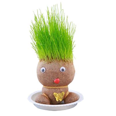 China Fabric Mini Magic Plant Pot Grass Head Doll Plant Indoor Potted Garden Landscaping Decking Diy Potted Doll With Grass Hair for sale