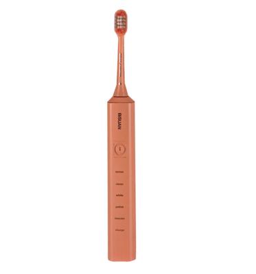 China Electric Brush Wholesale New Product USB Rechargeable Adult Electric Toothbrush for sale