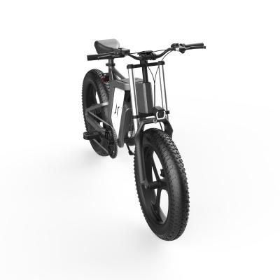 China Custom Aluminum Electric Bicycle with500w 48v 20