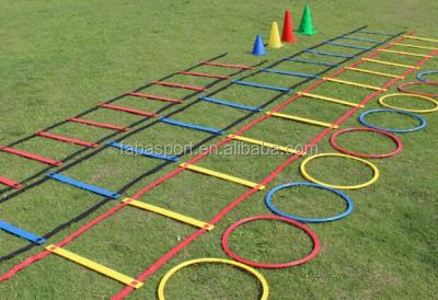 China Adjustable PVC Double Speed ​​Agility Ladder for sale