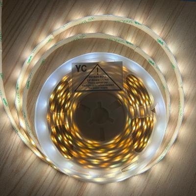 China Super Bright SMD 2835 5M 10m LED Strip Garden Lights Outside Light Bar Waterproof for sale