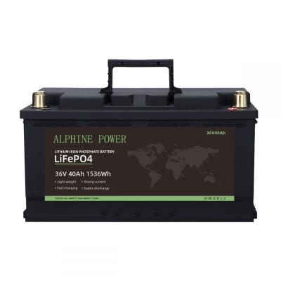 China 36V Solar System BMS Element A Grade 1KW Lithium Iron Phosphate Battery 38.4V 40Ah Solar Wind Power Storage Lifepo4 UPS Battery for sale