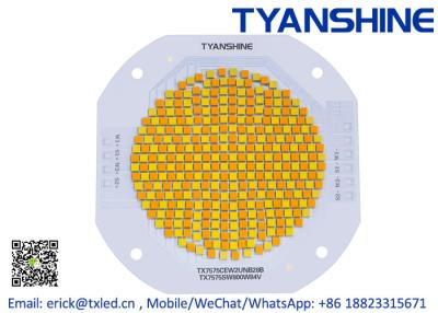 Cina il verticale 60Watt scheggia la matrice del LED, moduli bianchi del TDC 6500K LED in vendita