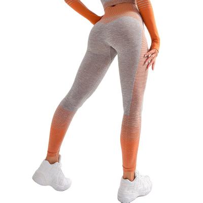 China Breathable Yoga Pants GYM Quick-Drying Fitness Pants Women Knitted Sexy Sports Stretch Top Seamless Leggings Yoga Pants for sale