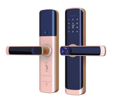 China Hot sale smart door lock fingerprint, card, passwrod VD09 for sale