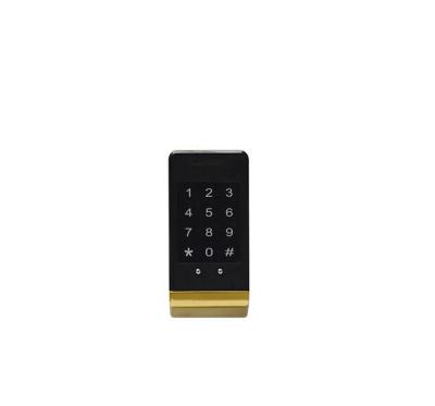 China hotel style apartments stand up straight seaside hotel Family Cabinet Lock Digital Keypad Smart Cabinet Lock for sale