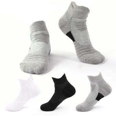 China Wholesale Breathable Custom Sports Socks For Adult Sports Socks OEM Quality Logo Cotton Color Socks Crew Sports for sale