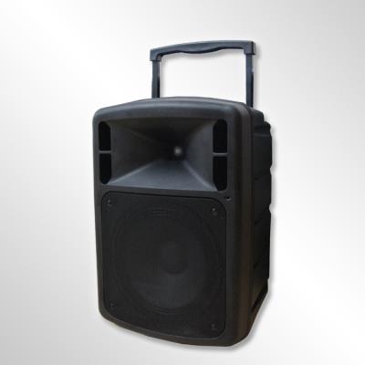 Cina Portable HOME THEATER Pull Rod 12 Inch Subwoofer Trolley Speaker Box with MP3/WMA in vendita