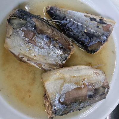 China Canned Mackerel in Oil /Brine /Tomato Sauce for sale