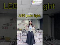12V IP68 Outdoor Permanent LED Lights for Christmas Holiday Funfair