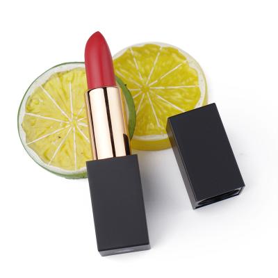 China Waterproof 21 colors OEM private label matte waterproof lipstick matte lipstick to accept dropshipping for sale