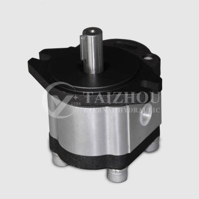 China Agricultural Machinery Hydraulic Outlet Application Gear Pump Wide Head for Massey Ferguson Tractor, Cbn-F302 for Komatsu Triple Hydraulic Gear Pump for sale