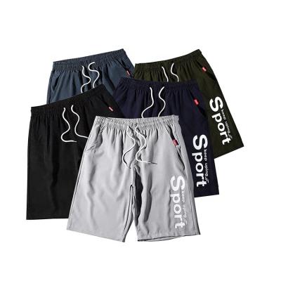 China Anti-wrinkle new products hot fashion plus size cotton men's summer cycling shorts for sale