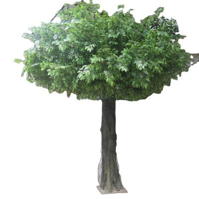 China Large Eco-friendly Cheap Artificial Topiary Ficus Trees Ornament Banyan Tree For Outdoor Decoration for sale