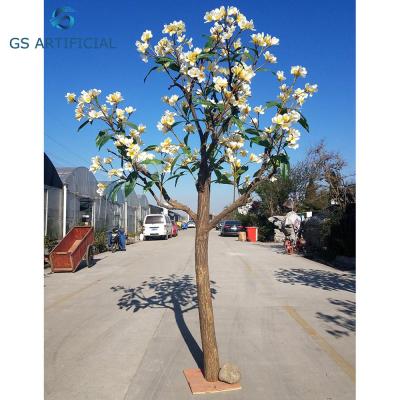 China Eco - Friendly Artificial Plumeria Flower Frangipani Tree for sale