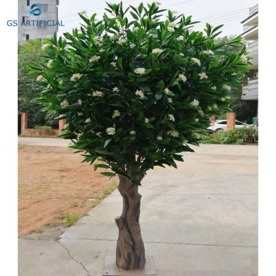 China Eco-friendly Artificial Osmanthus Fragrans White Flower Tree Home Decoration for sale