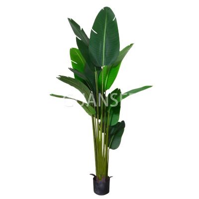 China Eco-friendly Artificial Indoor Plastic Traveler Banana Tree Decoration Plant Potted Bonsai for sale