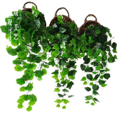 China Green Ivy Vines Hanging Wall Bonsai Vine Type Eco-friendly Eco-friendly Decorative Silver Plants for sale